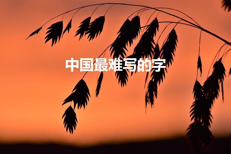 中国最难写的字（中国最难写的22个汉字是什么）