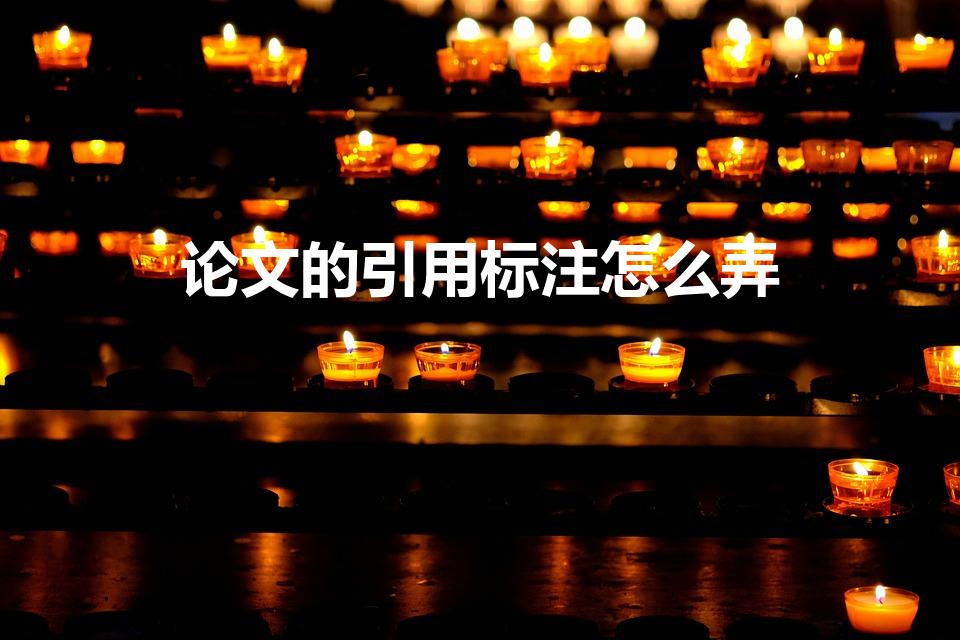 论文的引用标注怎么弄（论文引用怎么标注）