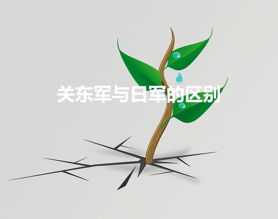 关东军与日军的区别（日本鬼子和日本关东军有何区别）