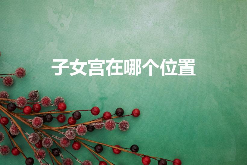 子女宫在哪个位置（什么是子女宫子女宫详解）