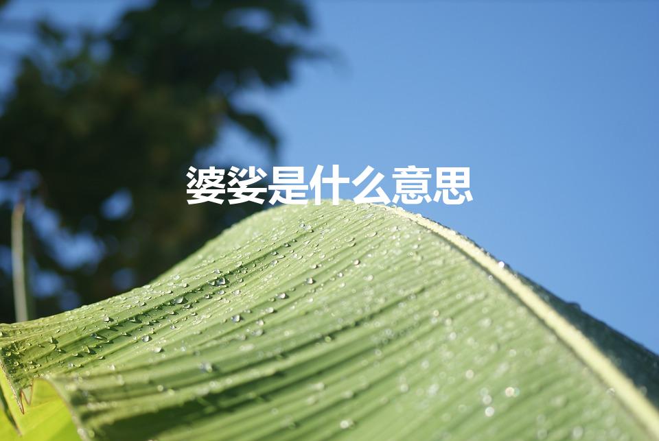 婆娑是什么意思（婆娑的意思是什么）