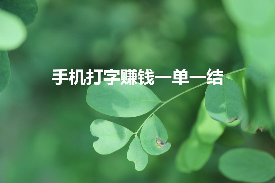 手机打字赚钱一单一结（打字赚钱一单一结app）