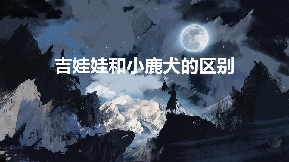 吉娃娃和小鹿犬的区别（小鹿犬和吉娃娃的区别）
