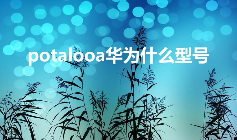 potalooa华为什么型号（华为畅享9s）