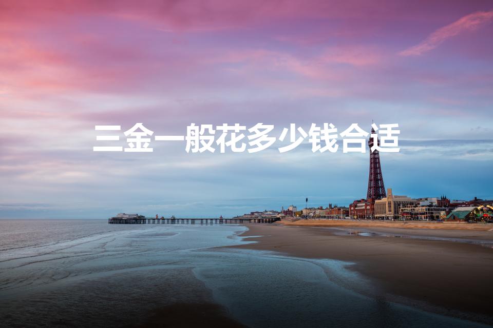 三金一般花多少钱合适（一般三金需要多少钱）