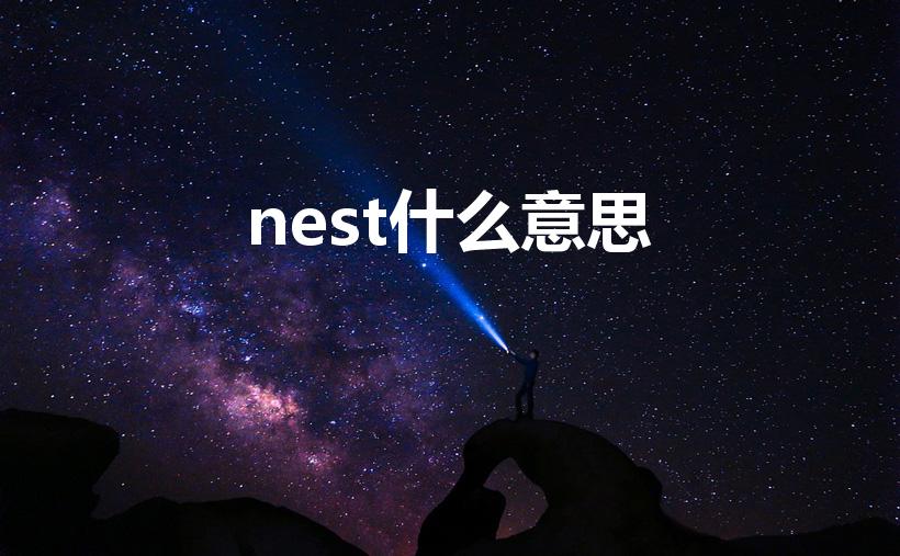 nest什么意思（nest意思 nest的意思）