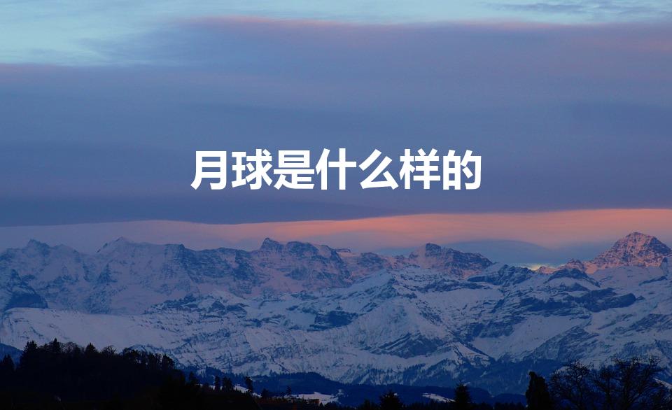 月球是什么样的（月球是长什么样的）