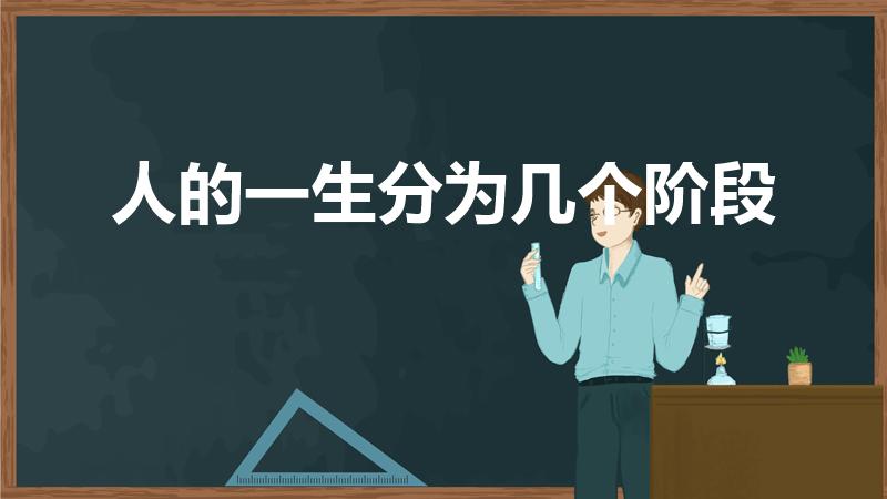 人的一生分为几个阶段（人的一生分几个年龄段）