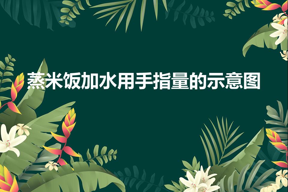 蒸米饭加水用手指量的示意图（蒸米饭一个手指头是怎么量的）