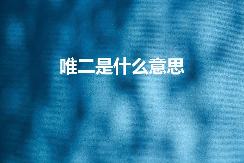唯二是什么意思（唯二是不是语病）