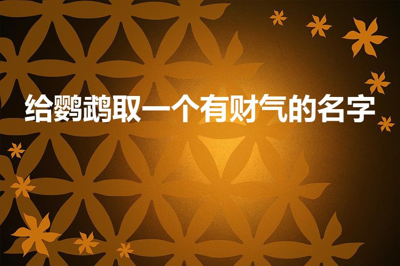 给鹦鹉取一个有财气的名字（招财又吉利的鹦鹉名字）