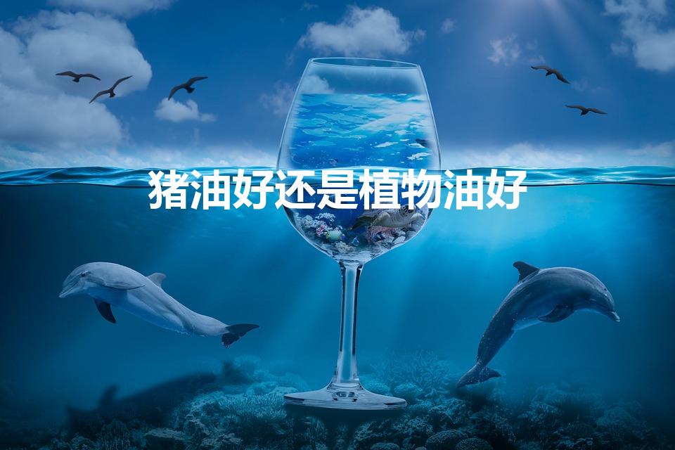 猪油好还是植物油好（猪油和植物油哪个更健康）