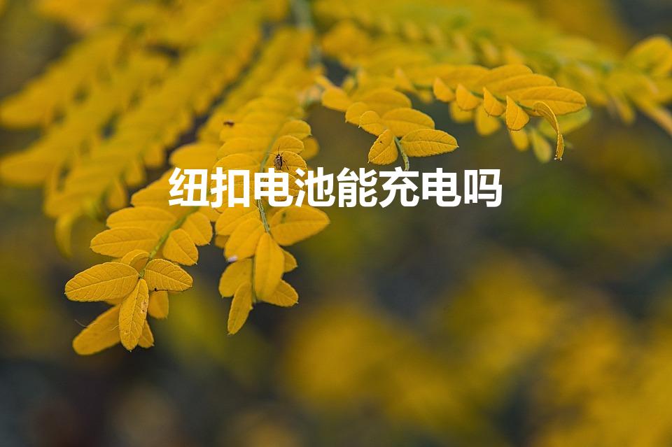 纽扣电池能充电吗（主板上的纽扣电池可充电吗）