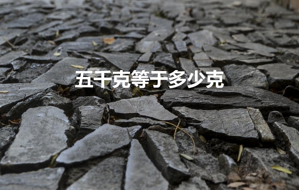 五千克等于多少克（五千克等于）