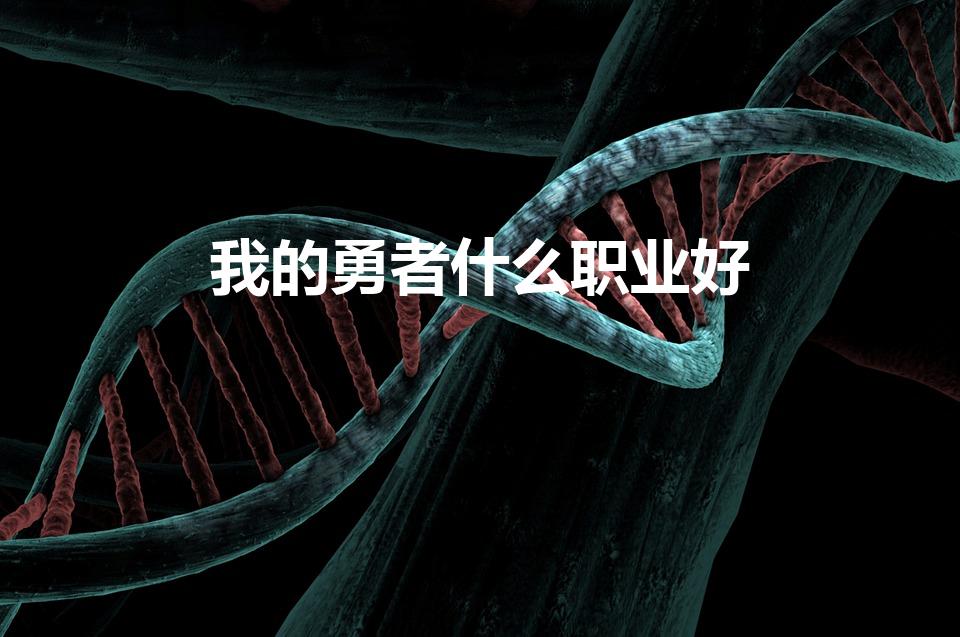 我的勇者什么职业好（我的勇者选什么职业好）