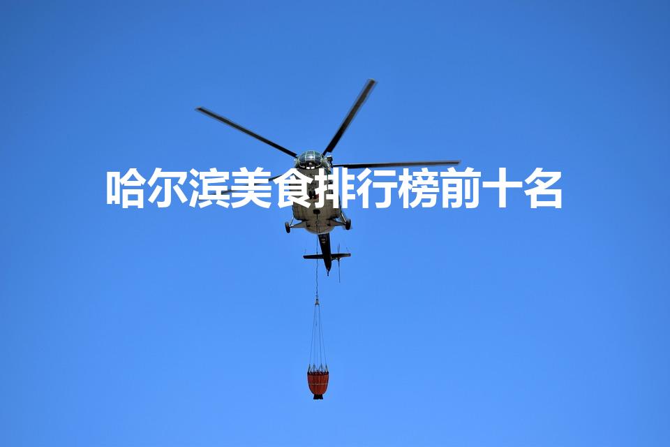 哈尔滨美食排行榜前十名（哈尔滨美食排行榜前十）