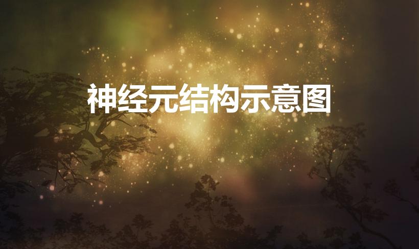 神经元结构示意图（神经元结构图示）