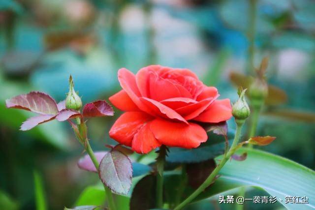 cbc32051d04e4ba2bda0a87138869756noop.image_ cbc32051d04e4ba2bda0a87138869756noop.image_