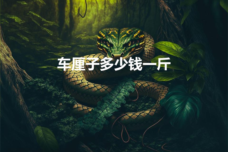 车厘子多少钱一斤（车厘子大概多少钱一斤）