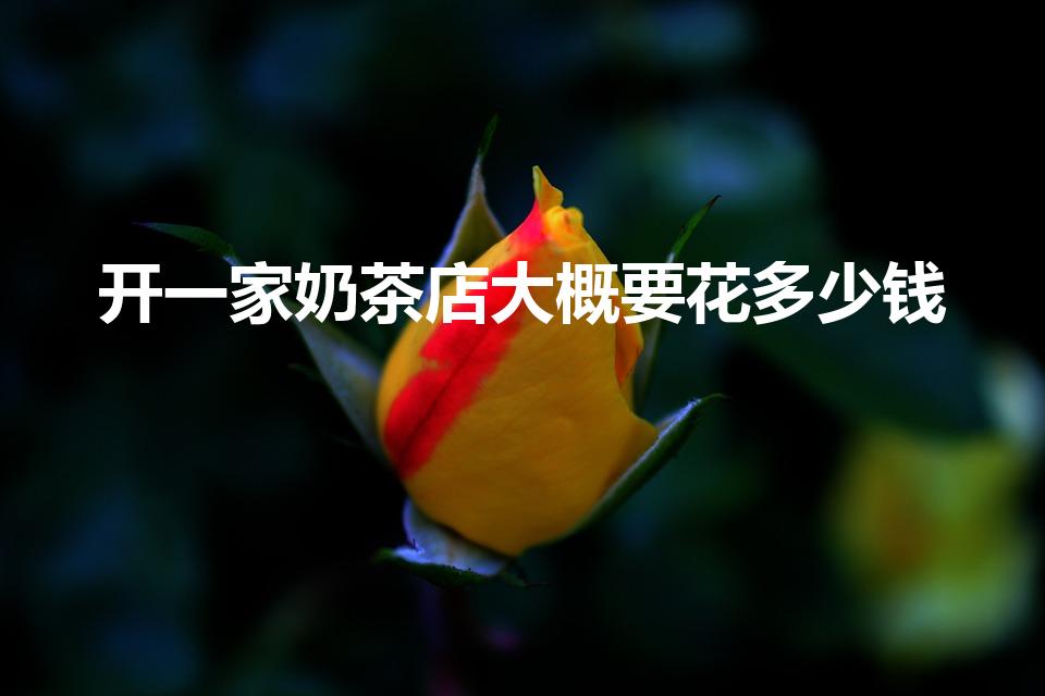 开一家奶茶店大概要花多少钱（开奶茶店需要投资多少资金）