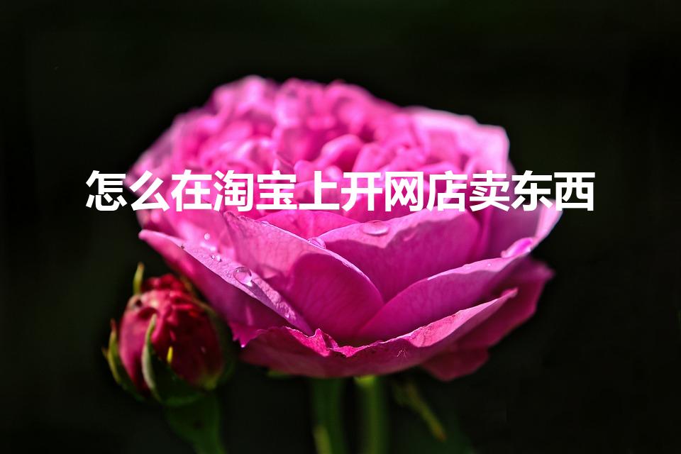 怎么在淘宝上开网店卖东西（怎么在淘宝开店卖东西呢）