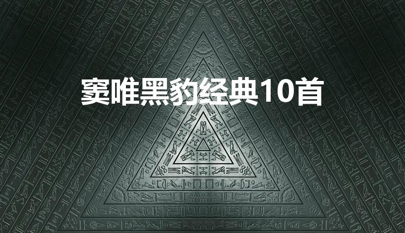 窦唯黑豹经典10首（窦唯经典10首）