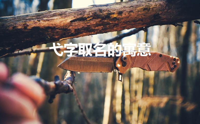 弋字取名的寓意（弋字取名的寓意是什么）