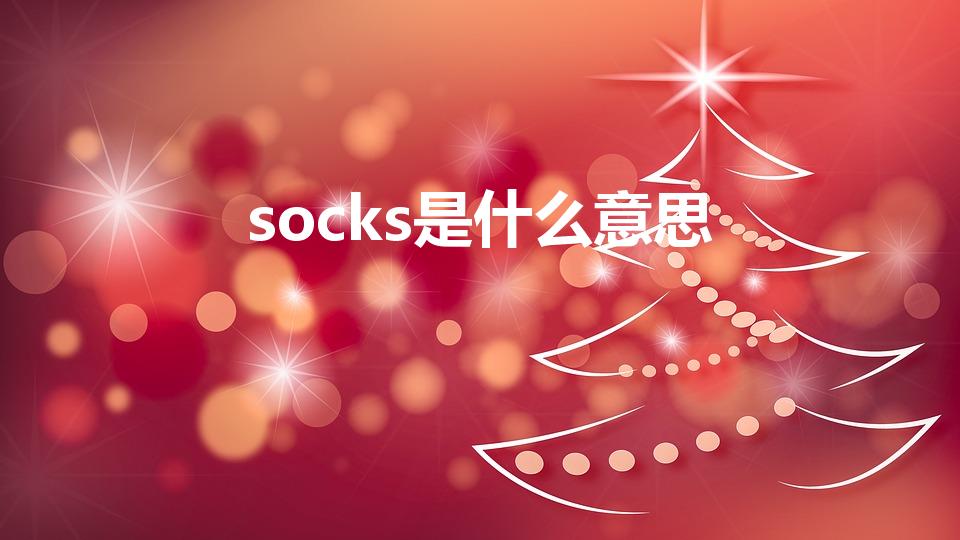 socks是什么意思（socks翻译中文）