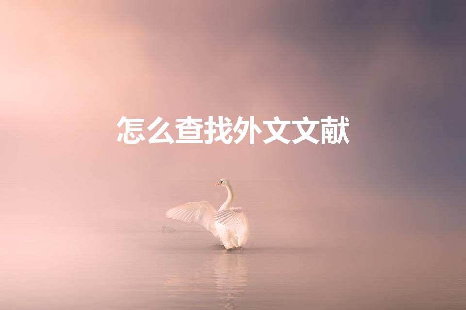 怎么查找外文文献（怎样查找外文文献）