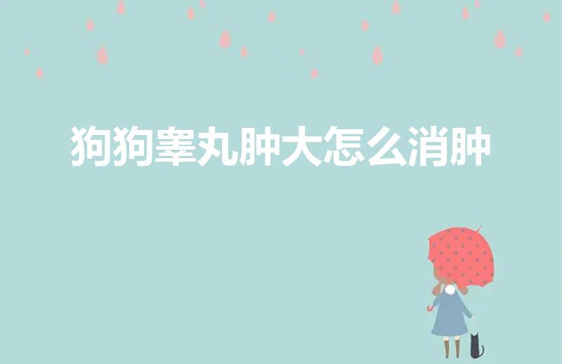 狗狗睾丸肿大怎么消肿（狗狗的睾丸红肿怎么办）