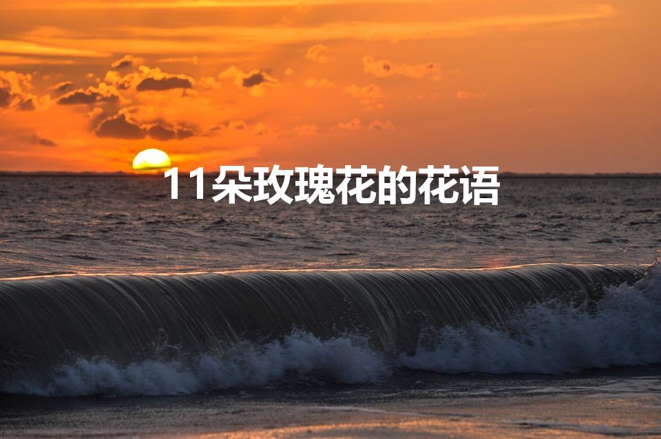 11朵玫瑰花的花语（11朵玫瑰花语是什么意思啊）