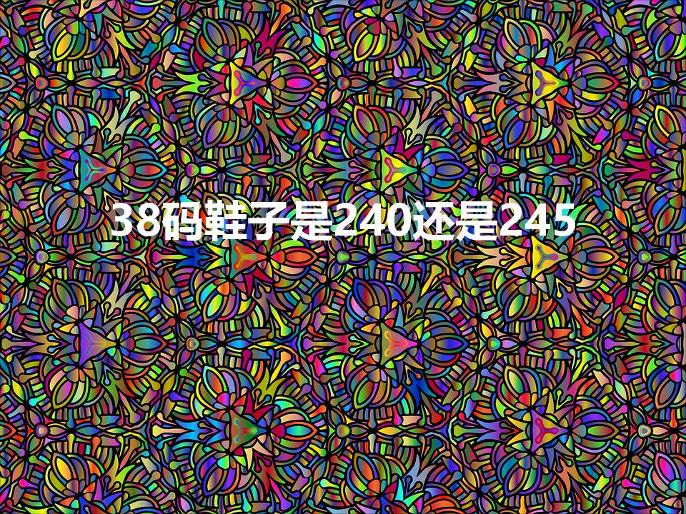38码鞋子是240还是245（38码的鞋是多大啊）