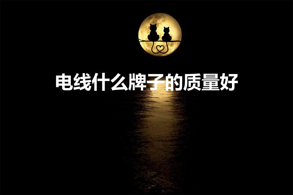 电线什么牌子的质量好（电线什么品牌好）