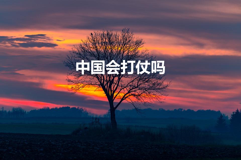 中国会打仗吗（现在有可能打仗吗）