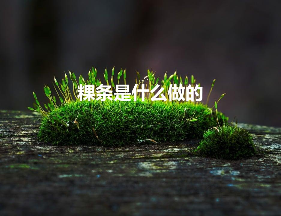 粿条是什么做的（粿条是什么）