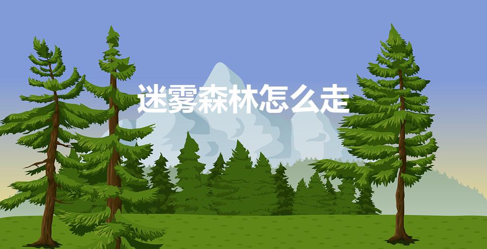迷雾森林怎么走（究极绿宝石5迷雾森林怎么走）