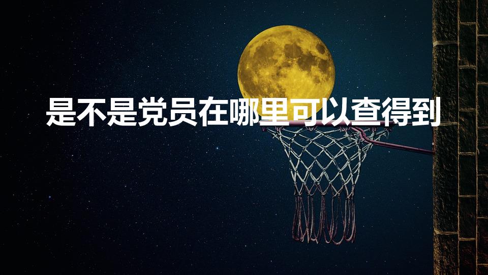 是不是党员在哪里可以查得到（党员怎么查询是不是党员）