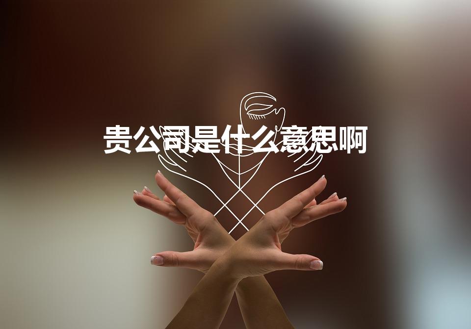 贵公司是什么意思啊（贵公司是什么含义）