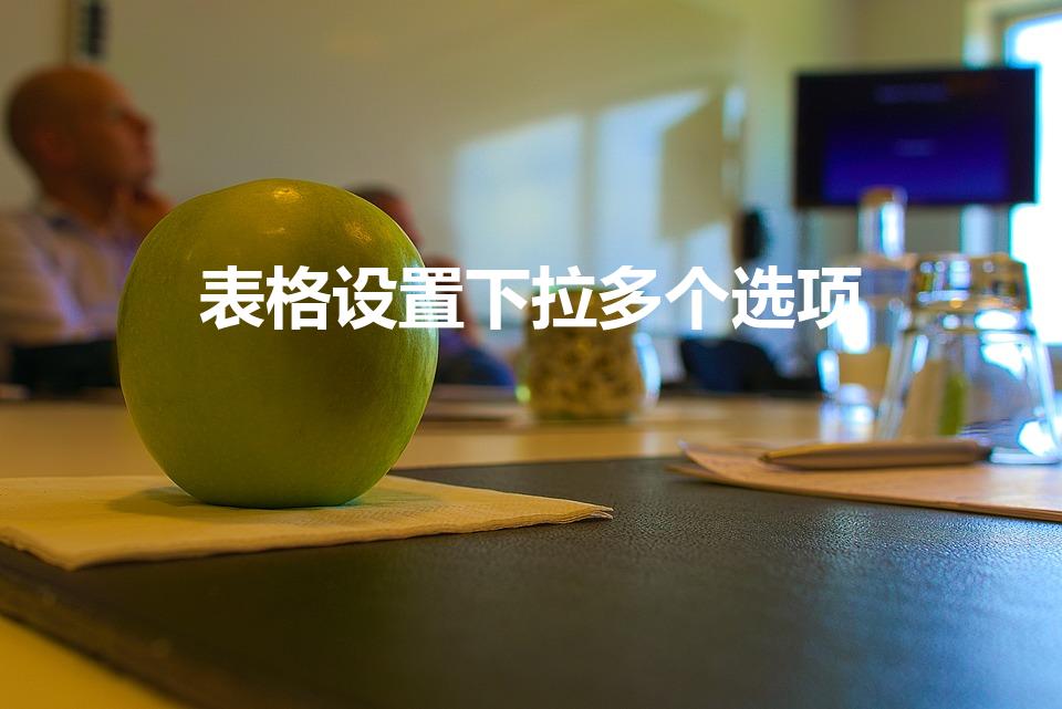 表格设置下拉多个选项（怎样给EXCEL表格设置多个选项）
