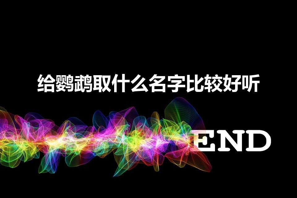 给鹦鹉取什么名字比较好听（鹦鹉要起什么名字好听）
