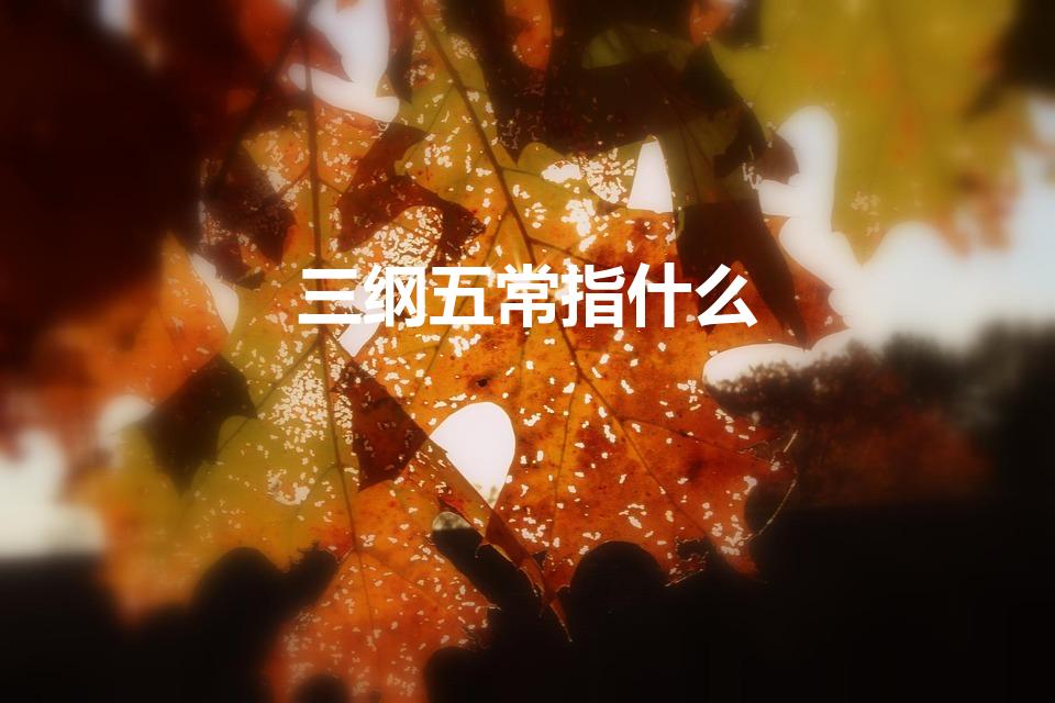 三纲五常指什么（三纲五常是什么意思）