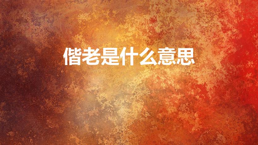 偕老是什么意思（白头偕老是什么意思）