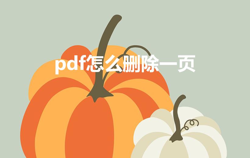 pdf怎么删除一页（pdf怎么删除其中一页）