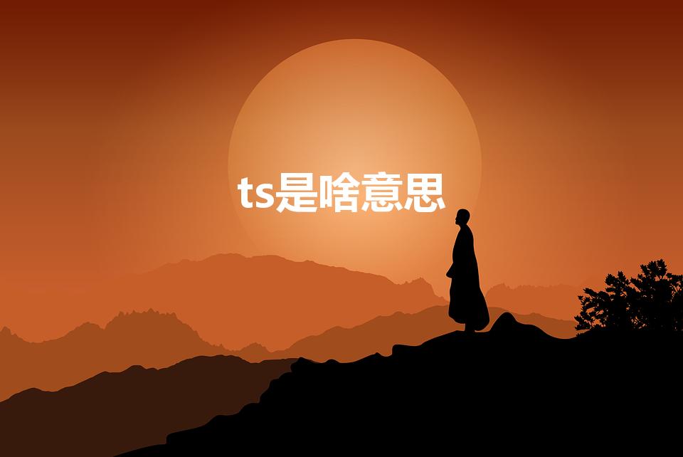 ts是啥意思（ts是什么意思）