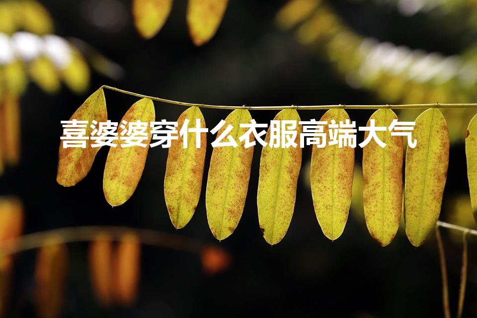 喜婆婆穿什么衣服高端大气（结婚喜婆婆怎样搭配得体）