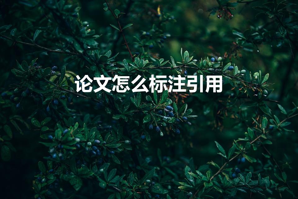 论文怎么标注引用（毕业论文引用怎么标注）
