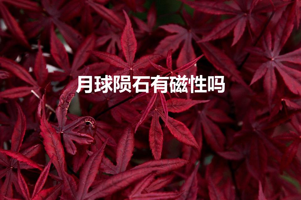月球陨石有磁性吗（月亮陨石有磁性吗硬度怎么样）