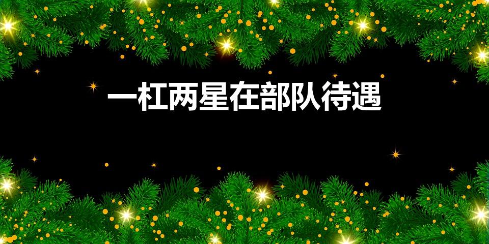 一杠两星在部队待遇（一毛二退伍是什么待遇）