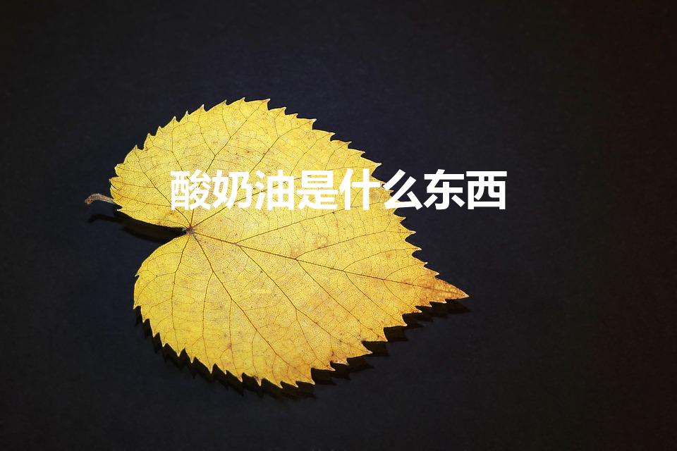 酸奶油是什么东西（酸奶油是什么怎么做好吃呢）