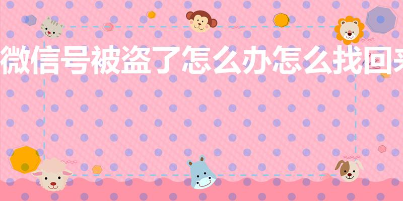 微信号被盗了怎么办怎么找回来（微信被人家盗了怎么找回来）